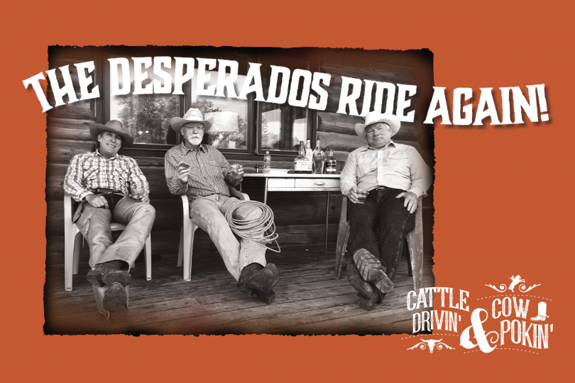Echelon Professional The Desperados Ride Again. Cattle Drivin' and Cow Pokin' image